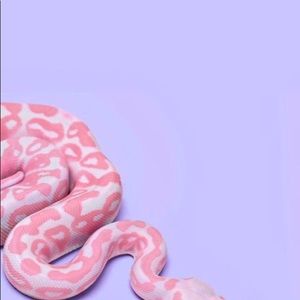 Meet your Posher, Simonne sadé